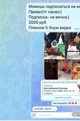 Проститутка Porno модель virt